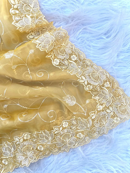 Embroidered silk saari