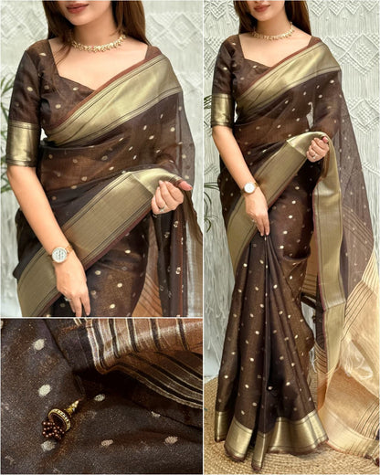 Banarasi Organza Silk With Saree Border