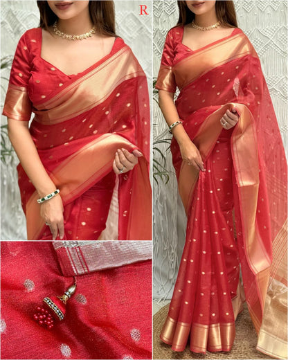 Banarasi Organza Silk With Saree Border