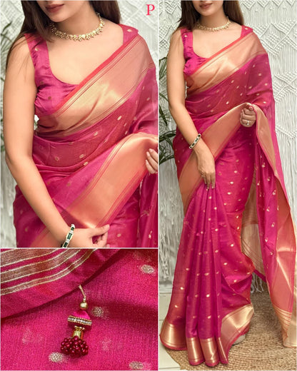 Banarasi Organza Silk With Saree Border